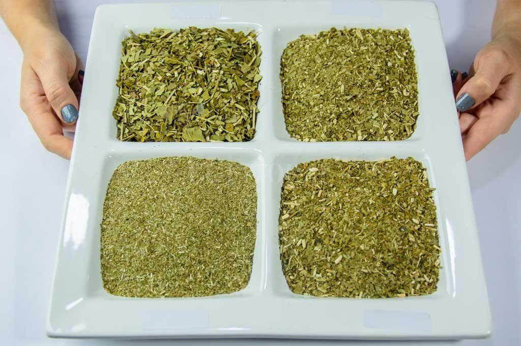 distintas_yerbas_mate