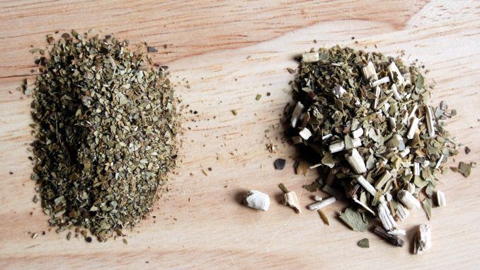 Yerba sin y con palo